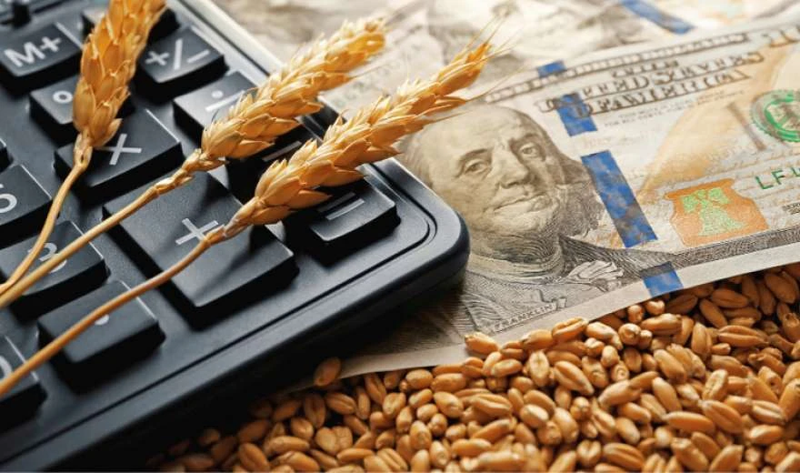 Продовольство забезпечило майже 60% товарного експорту України за сім місяців — Experts Club
